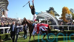 Stradivarius to enjoy deserved parade on Champions Day