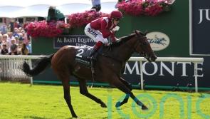 Breeders&rsquo; Cup remains under consideration for Mishriff