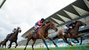 First Receiver carries the King&rsquo;s colours to victory at the Horse of the Year Show