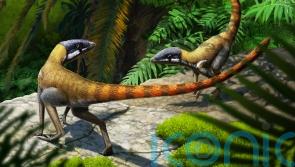 Cat-sized creature was early relative of flying reptile