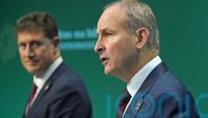 &lsquo;No time to lose&rsquo; on sustainable development goals, says Micheal Martin