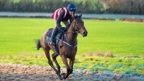 Racing charities to benefit from new ownership initiative