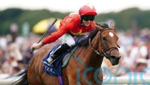 Highfield Princess on course for Golden Pal showdown