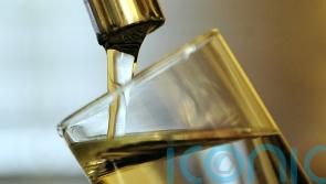 Irish Water too slow at replacing lead pipes &ndash; EPA