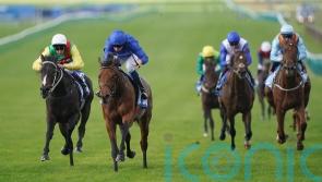 Flying Honours lands Zetland with gritty display