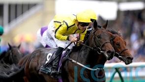 Marquand in line to ride Perfect Power in Champions Sprint at Ascot