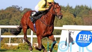 Jadoomi added to QEII field