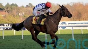 Galvin passes Punchestown test with ease