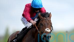 No disguising task ahead, as Bay Bridge takes on &lsquo;world champion&rsquo; at Ascot