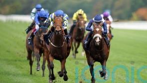 Trueshan battles to Long Distance Cup hat-trick