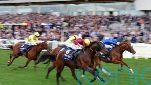 Bayside Boy springs Queen Elizabeth II Stakes surprise