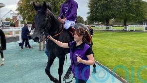 Exciting King Of Steel remains in Vertem Futurity picture