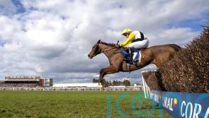 Win My Wings has Wetherby outing in her sights