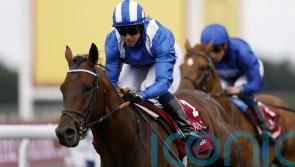 Baaeed bound for Nunnery Stud following Ascot swansong