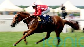 Saffron Beach booked for Breeders&rsquo; Cup challenge