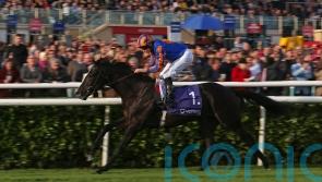 Auguste Rodin takes impressive Trophy triumph