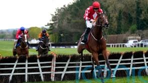 Mighty Potter set to make fencing debut next month