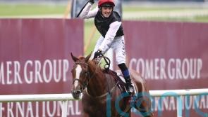 Time called on career of star mare Search For A Song