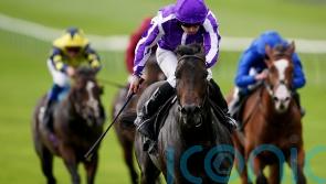 O&rsquo;Brien full of praise for Breeders&rsquo; Cup-bound Blackbeard