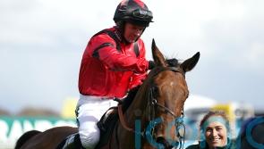 Ahoy Senor on course to return in Charlie Hall this weekend