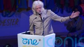 'Clever' - Irish musician backs climate activists who defaced Van Gogh painting