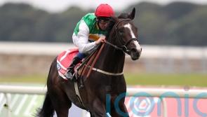 Pyledriver to bypass Japan Cup and Hong Kong options