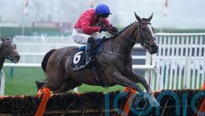Sir Gerhard given Champion Hurdle option