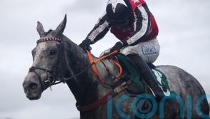 Lewis considering plans for stable star Straw Fan Jack