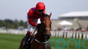 Walker keen on Dreamloper&rsquo;s Breeders&rsquo; Cup claims