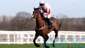 Goshen heads to Ascot for fencing introduction