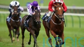 Saffron Beach ruled out of Breeders&rsquo; Cup bid