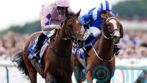 Farhan in the mix for November Handicap defence