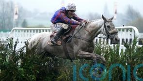 Bandey hoping to return Diesel D&rsquo;Allier at the November meeting