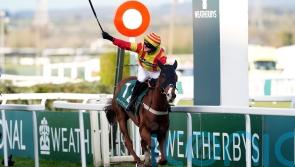 Neil King waiting on easier ground for stable star Lookaway