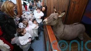 Call for common sense to prevail in row over Dublin&rsquo;s live animal crib