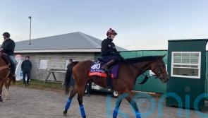 Gosden bullish ahead of Breeders&rsquo; Cup duo