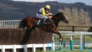 Win My Wings retired due to injury