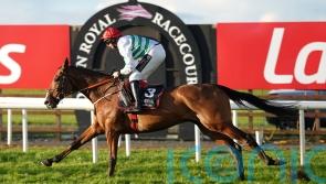 American Mike up in trip for hurdling bow at Down Royal