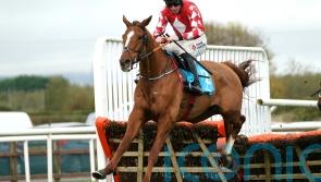 Pied Piper leads Down Royal rivals a merry dance