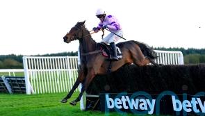 More glory for Greaneteen in Haldon Gold Cup