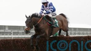 Frodon and Frost unstoppable again with Badger Beer celebration