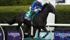 Rebel&rsquo;s Romance just relentless in Breeders&rsquo; Cup Turf