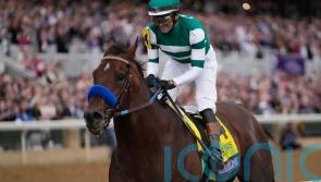Flightline absolutely spectacular in Breeders&rsquo; Cup Classic
