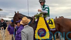 Flightline share sells for $4.6 million