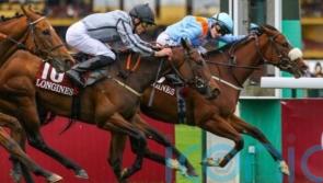 The Platinum Queen team look to the future