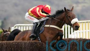No place like home &ndash; Coole Cody heading back to Cheltenham