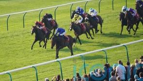 Harris taking Knight Salute route with potentially smart Scriptwriter