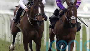 Weveallbeencaught aiming for starring role on day one of November meeting