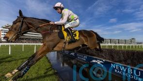 Ricci rules Royale Pagaille out of Betfair Chase
