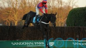 Sprinter Sacre set for starring role on Tingle Creek day